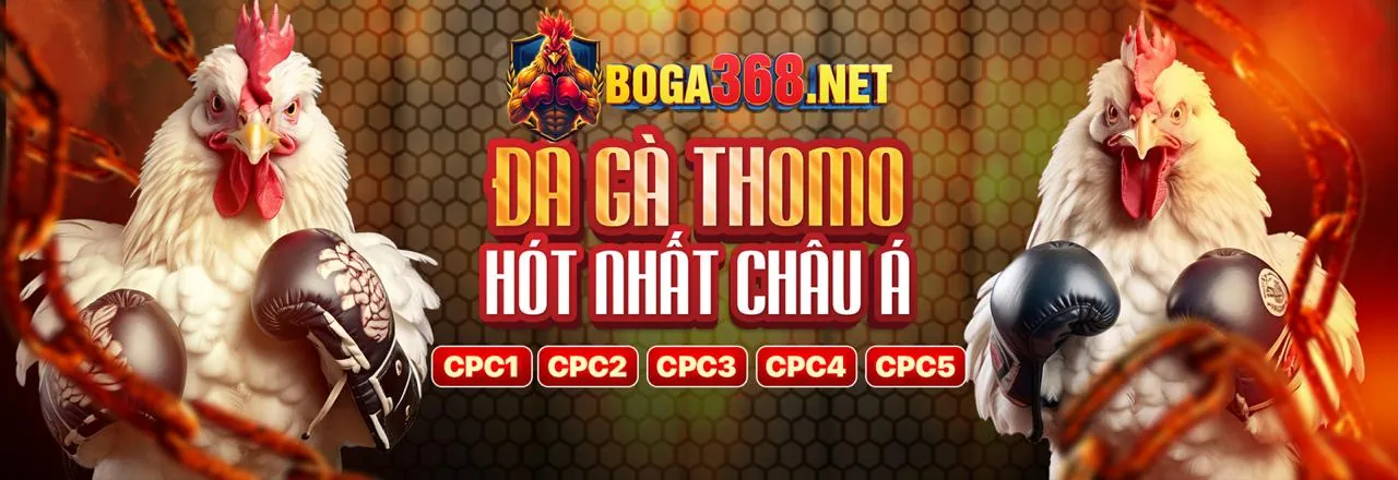 Hình ảnh chính về cá cược thể thao tại Gaking79 Code