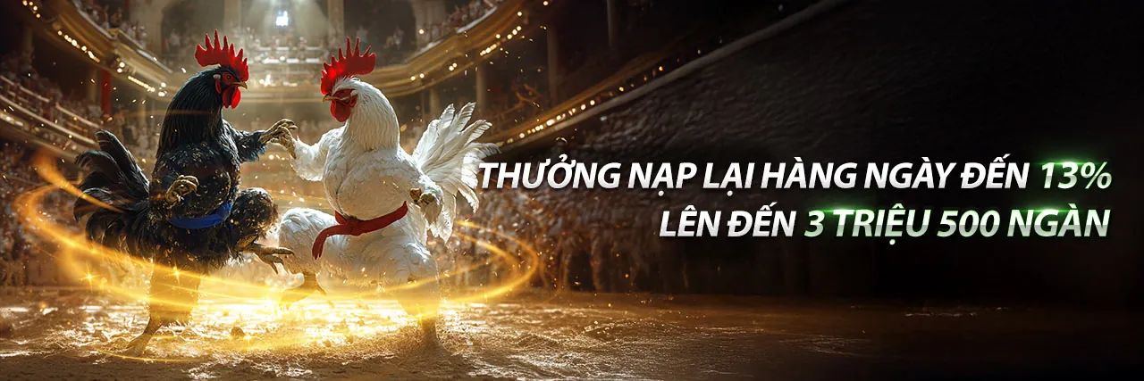 Đá Gà Trực Tuyến Hấp Dẫn với gaking79 code